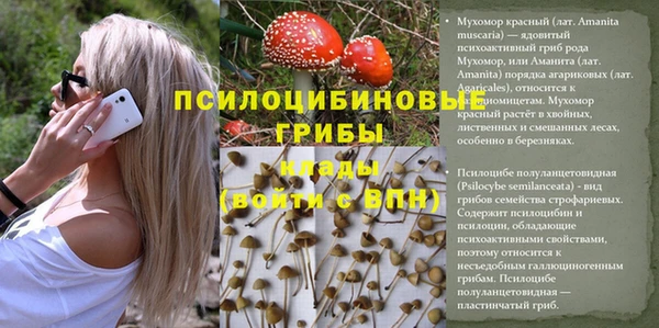 дмт Армянск
