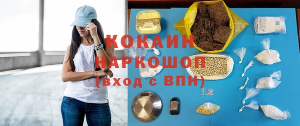 молекула духа Арсеньев