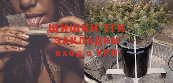 молекула духа Арсеньев