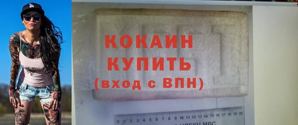 молекула духа Арсеньев