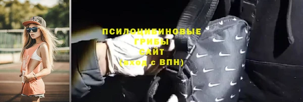 амф Аркадак