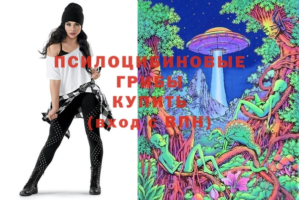 молекула духа Арсеньев