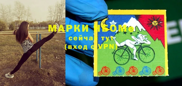 молекула духа Арсеньев