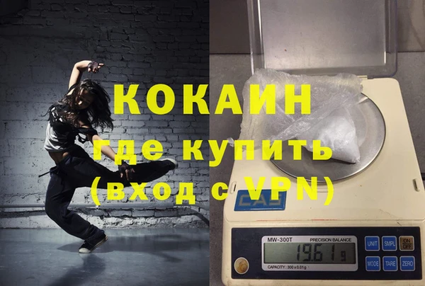 молекула духа Арсеньев