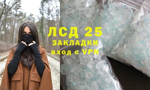 молекула духа Арсеньев