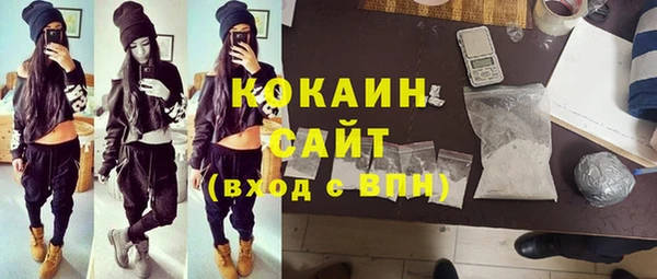молекула духа Арсеньев